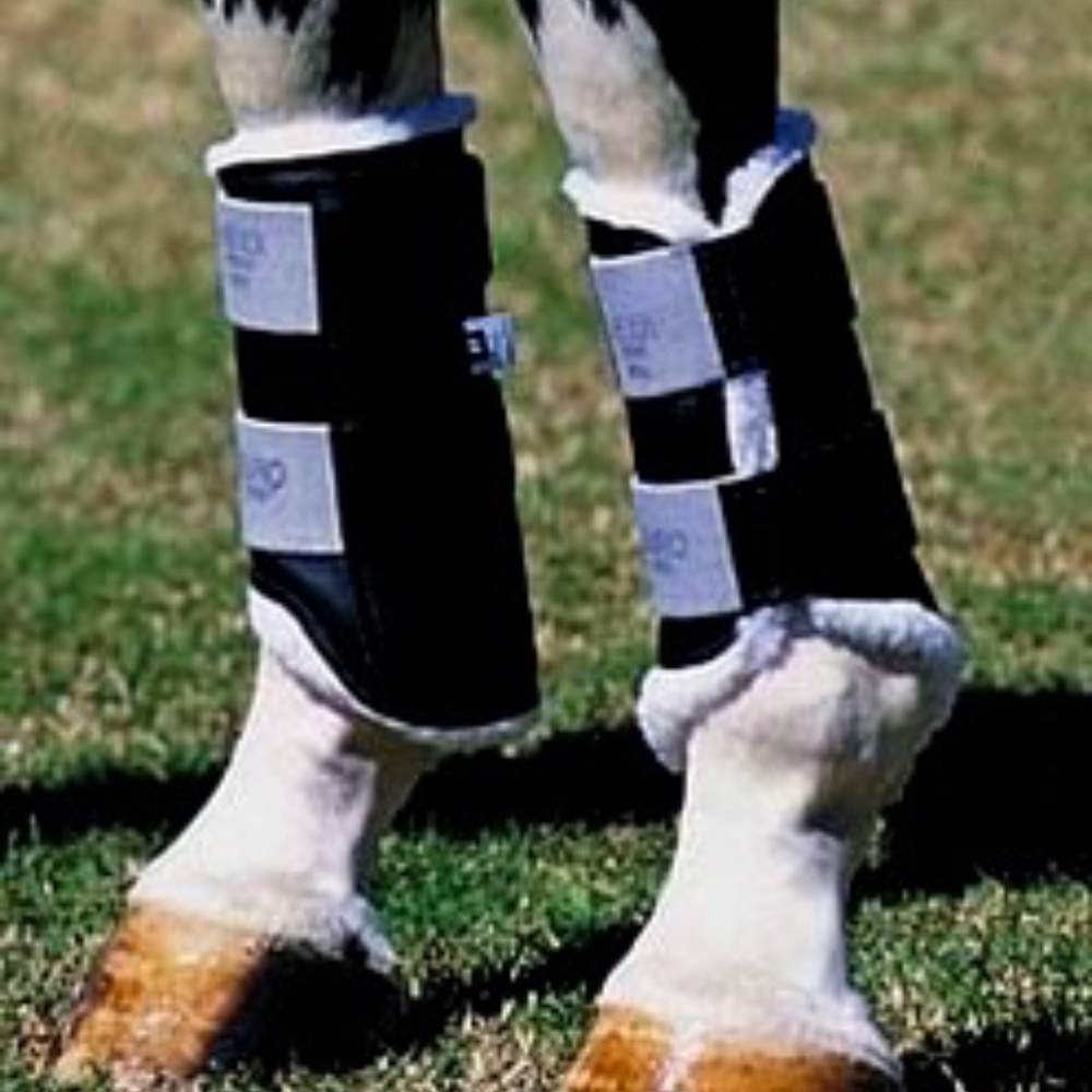EuroPro Horse Boot- FRONT AND BACK-